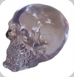Crâne tête de mort en verre
Transparent  