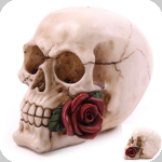 Crâne tête de mort avec  Rose Rouge  